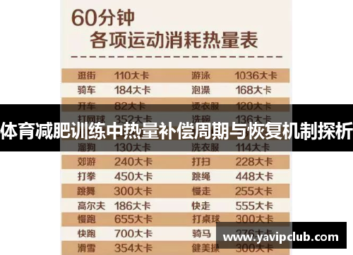 体育减肥训练中热量补偿周期与恢复机制探析
